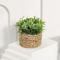 XIYA FLOWER Green Artificial Plants Eucalyptus Grass Woven Small Potted Plants Grass Mound 11cm PE Material Home Decoration