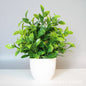 1PCS Artificial Potted Plant Scene Desktop Home Office Shelf Decor Tabletop Landscape Bonsai Wedding Room Party Accessories Vine