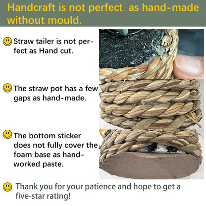 XIYA FLOWER Green Artificial Plants Eucalyptus Grass Woven Small Potted Plants Grass Mound 11cm PE Material Home Decoration