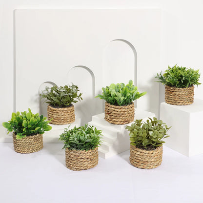 XIYA FLOWER Green Artificial Plants Eucalyptus Grass Woven Small Potted Plants Grass Mound 11cm PE Material Home Decoration