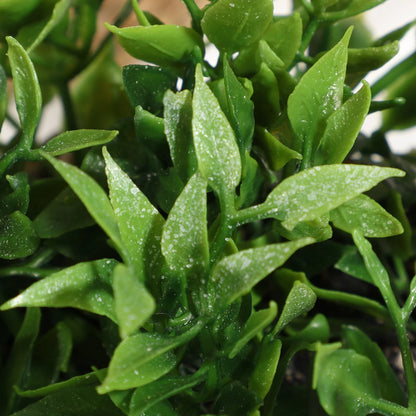 XIYA FLOWER Green Artificial Plants Eucalyptus Grass Woven Small Potted Plants Grass Mound 11cm PE Material Home Decoration