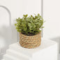 XIYA FLOWER Green Artificial Plants Eucalyptus Grass Woven Small Potted Plants Grass Mound 11cm PE Material Home Decoration