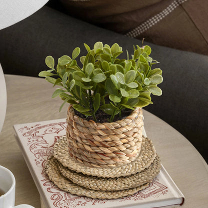 XIYA FLOWER Green Artificial Plants Eucalyptus Grass Woven Small Potted Plants Grass Mound 11cm PE Material Home Decoration